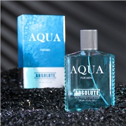 Туалетная вода мужская Absolute Aqua, 100 мл (по мотивам Acqua Di Gio (G.Armani)